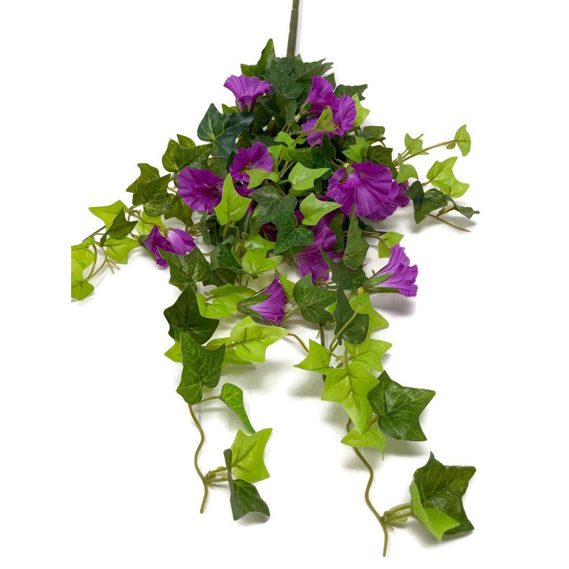 Trailing Morning Glory x 64cm – Purple