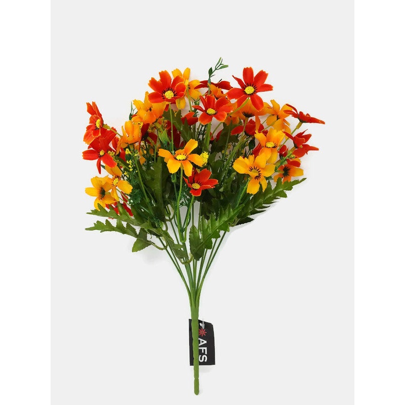 12 Stem Cosmos Daisy Cottage Flower Bush x 36cm – Mixed Orange Shades