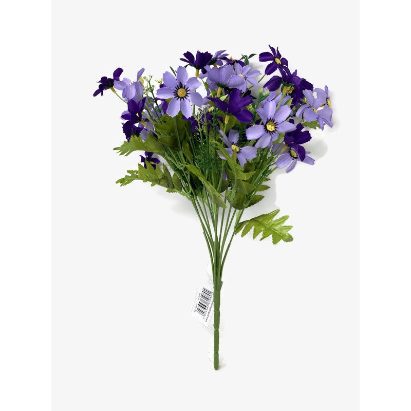 12 Stem Cosmos Daisy Cottage Flower Bush x 36cm – Purple