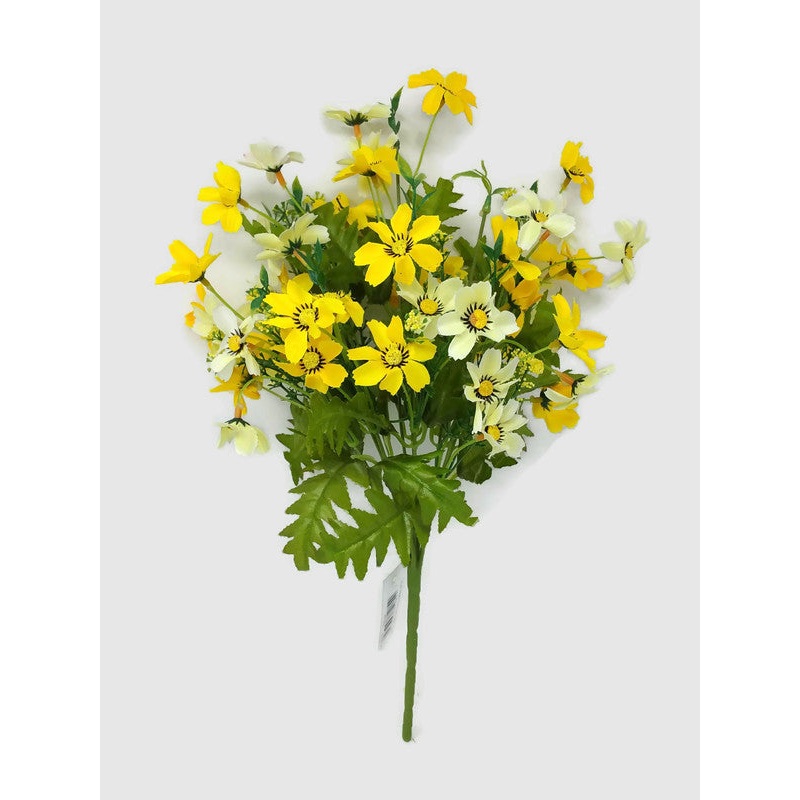 12 Stem Cosmos Daisy Cottage Flower Bush x 36cm – Yellow
