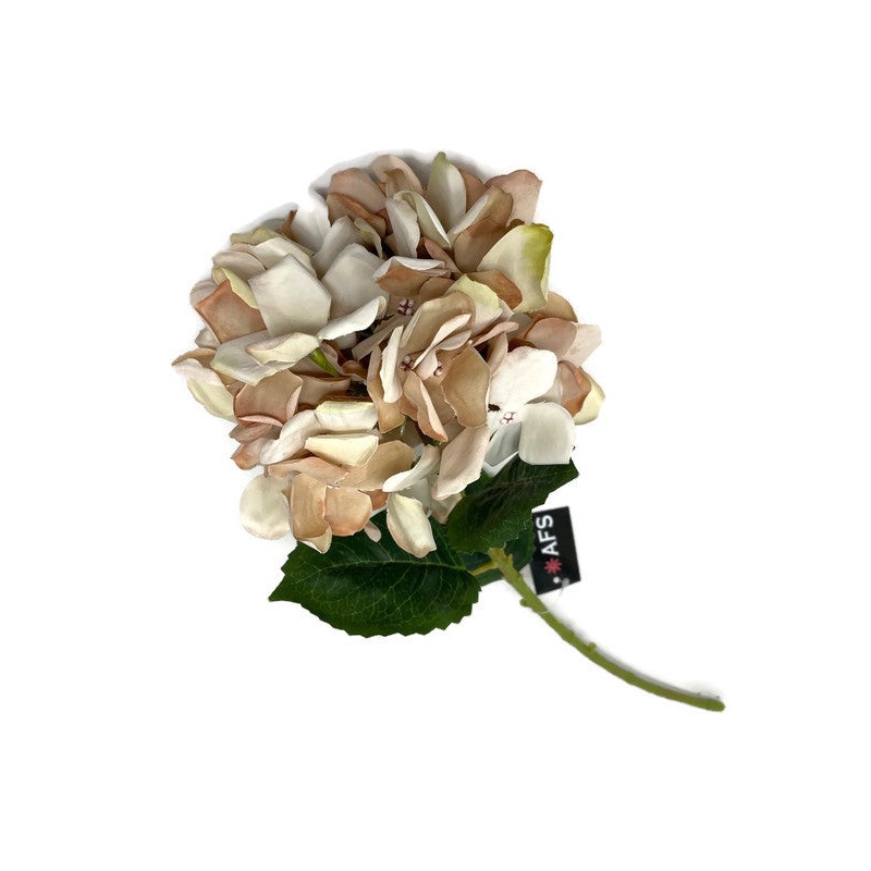 50cm Single Stem Hydrangea – Dark Champagne