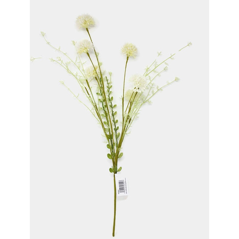Allium Ball Meadow Flower Bush x 50cm – White