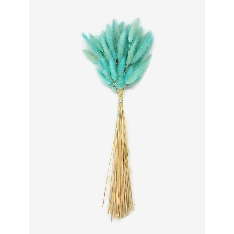 Dried Bunny Tails x 45cm – Turquoise Blue