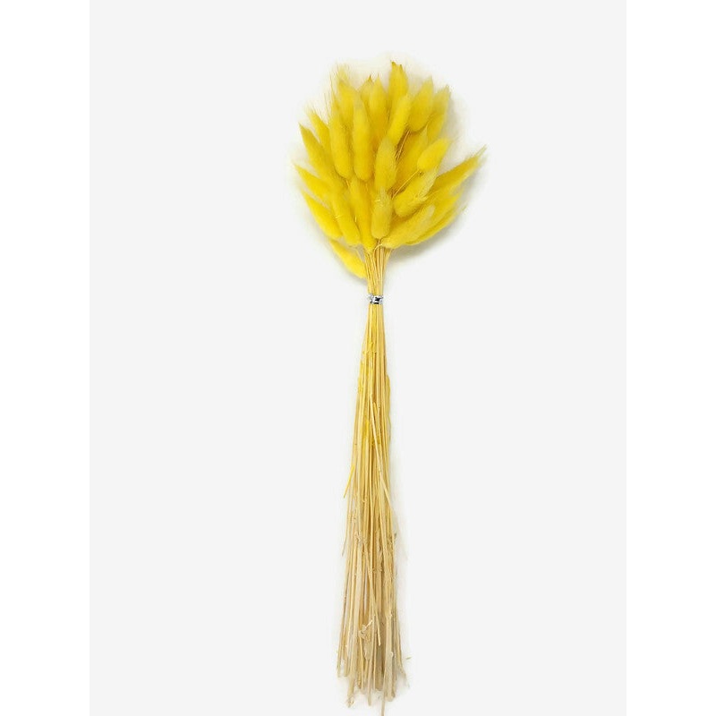 Dried Bunny Tails x 45cm – Yellow