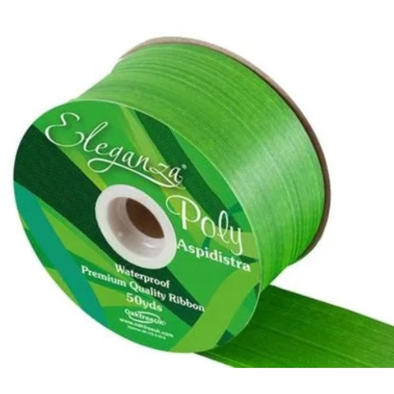 Poly Ribbon Aspidistra 50mm x 50yds –  Daffodil Green