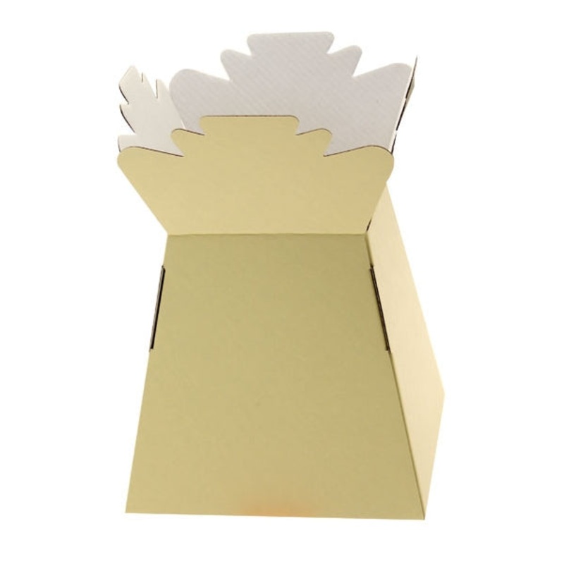 1 Ivory Cream Living Vase .