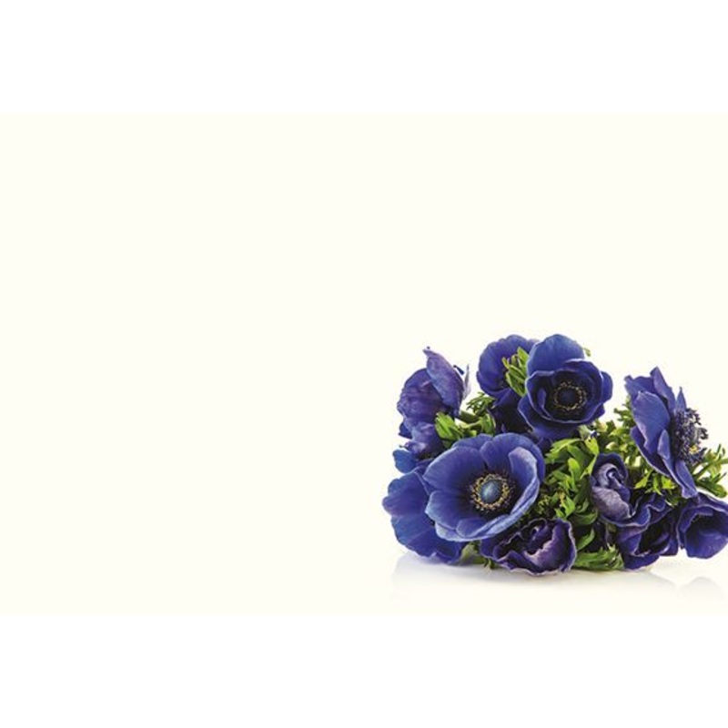 50 Blank Florist Cards – Blue Anemone Posy