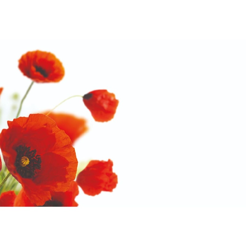 50 Blank Florist Cards – Red Poppies