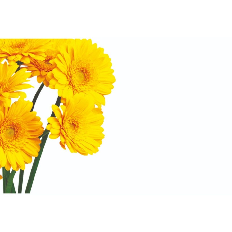 50  Blank Florist Cards – Yellow Gerberas