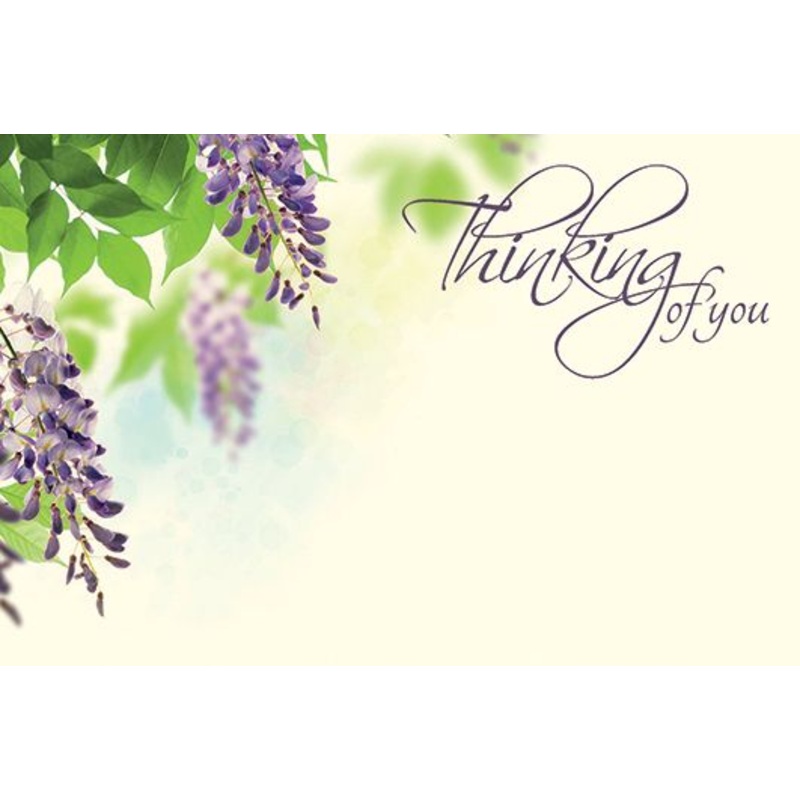 50 Florist Cards – Thinking of You – Wisteria Flowers