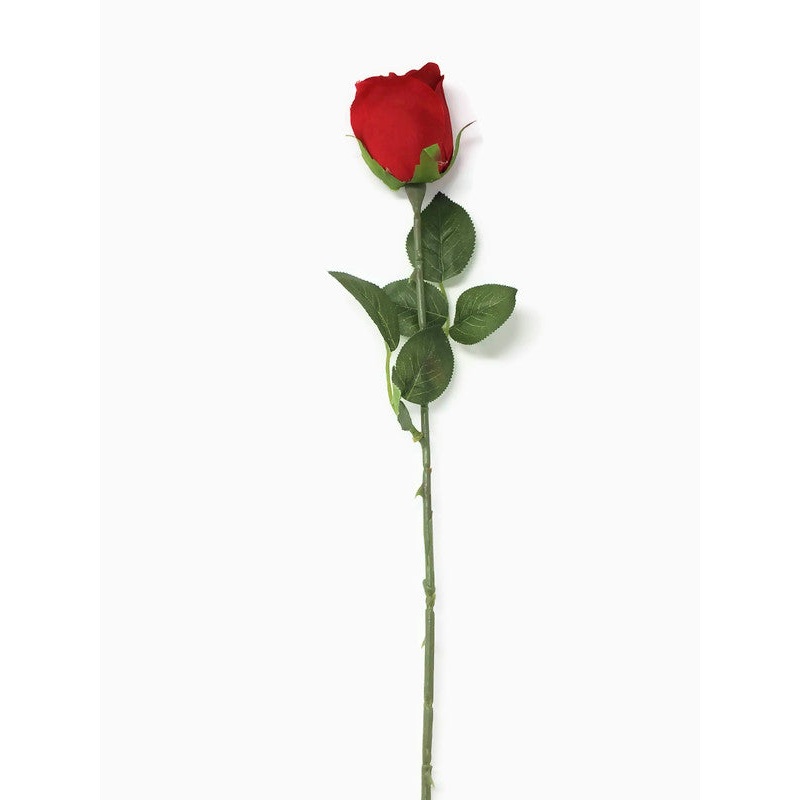 55cm Single Stem Red Rose
