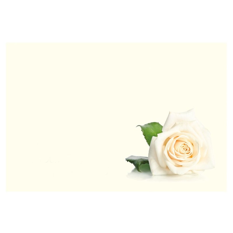 9 Large Blank Florist Message Cards – 12.5 x 9cm – Single White Rose, Cream Background