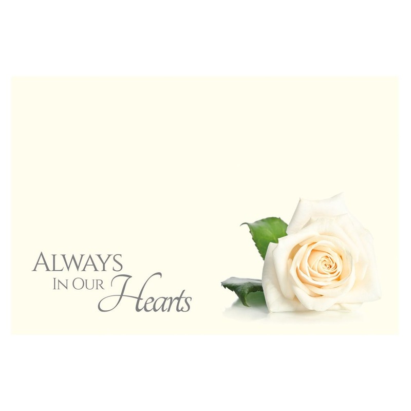 9 Large  Sympathy Message Cards – 12.5 x 9cm – Always in our Hearts, Single White Rose