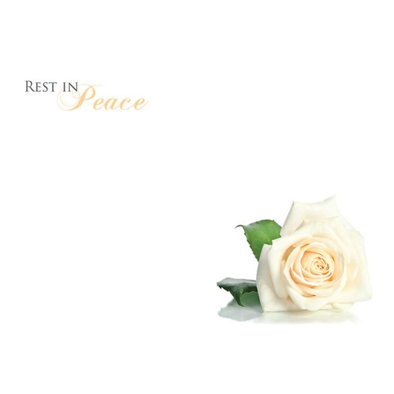 9 Large  Sympathy Message Cards – 12.5 x 9cm – Rest in Peace – Ivory Rose