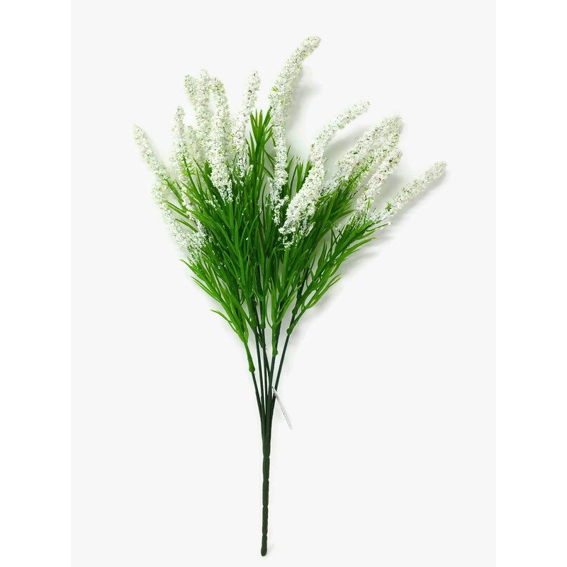 Flowering Wild Heather Bush x 38cm – White