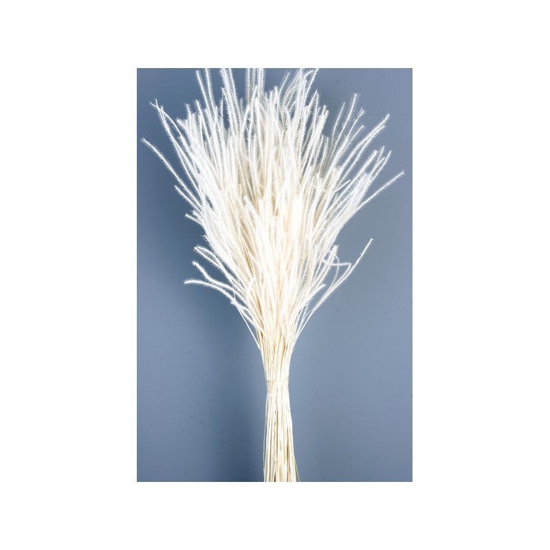 Ouro Grass – White (60cm tall, 50g)