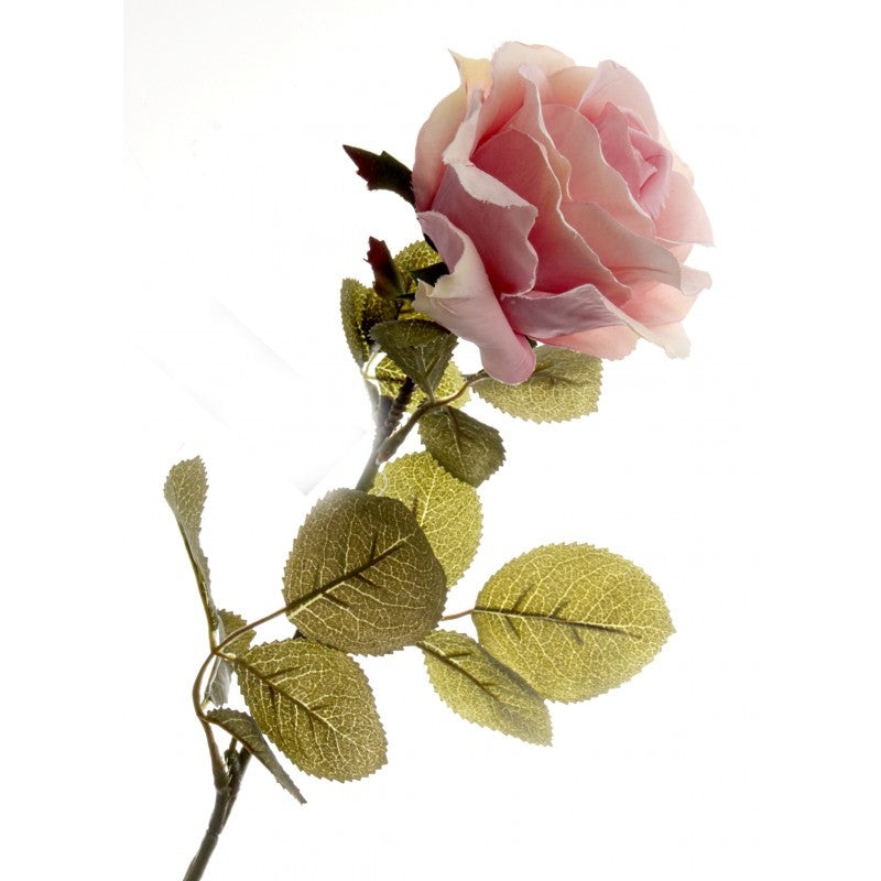 Rose – Light Pink – 70cm long