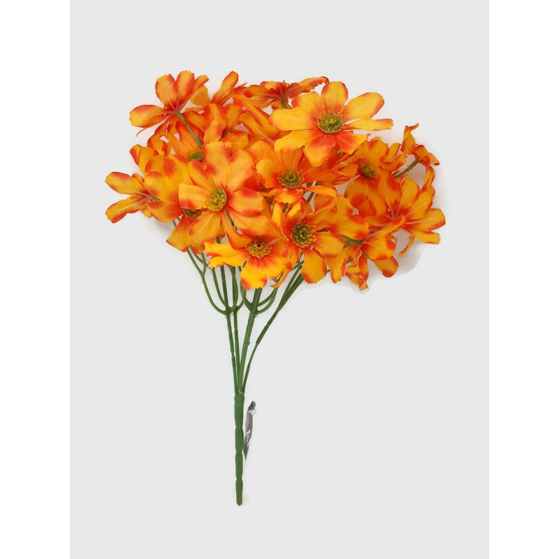 Garden Cosmos Bush – Orange