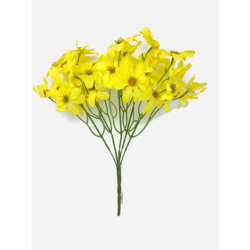 Garden Cosmos – Yellow