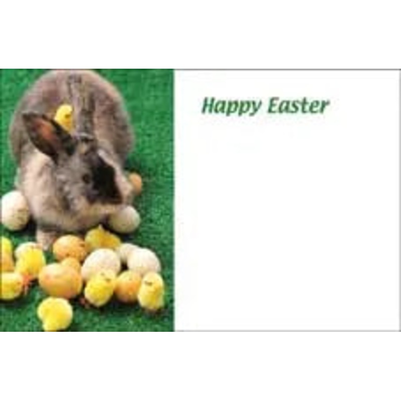 Happy Easter Greeting Card (x50)