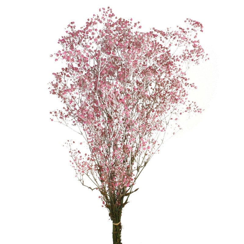 Preserved Gypsophila – Dusky Pink x 60cm long -100g per pack