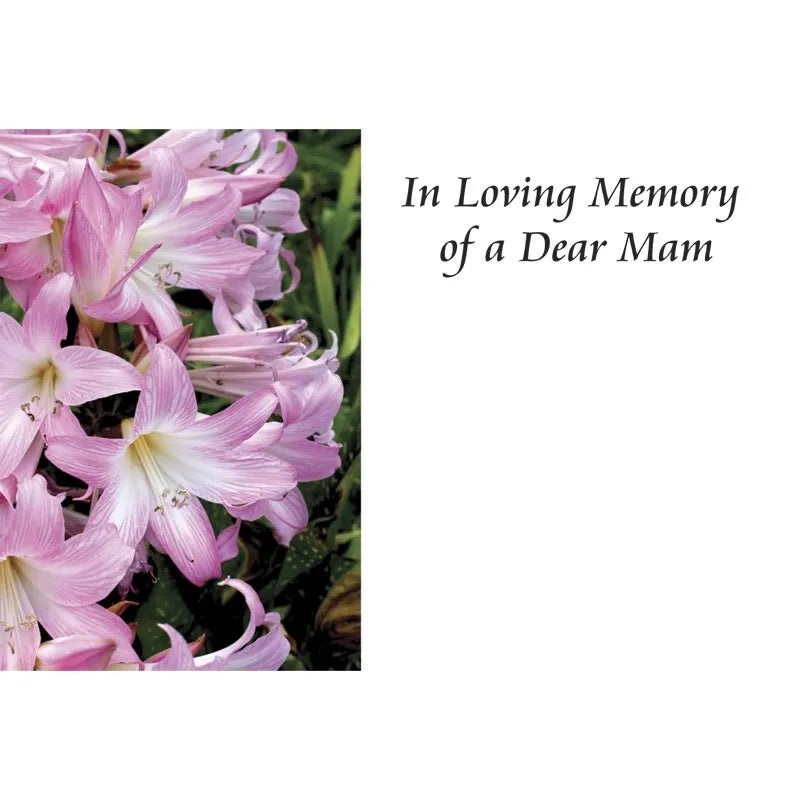 50 Cards In Loving Memory of a Dear MAM