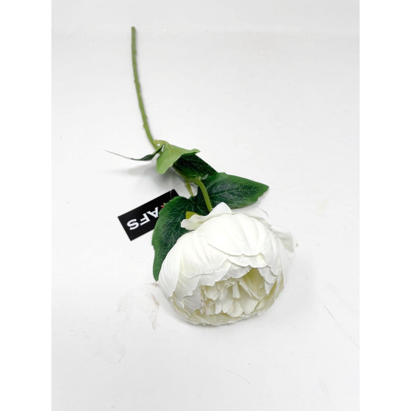 50cm Single Stem Ivory Peony