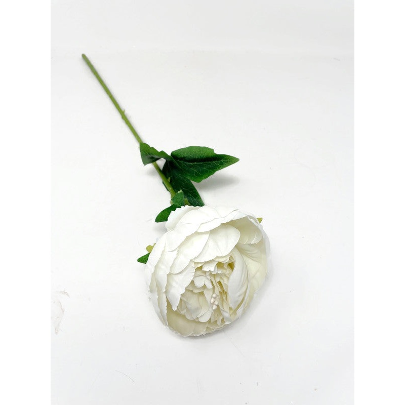 50cm Single Stem Off White Peony