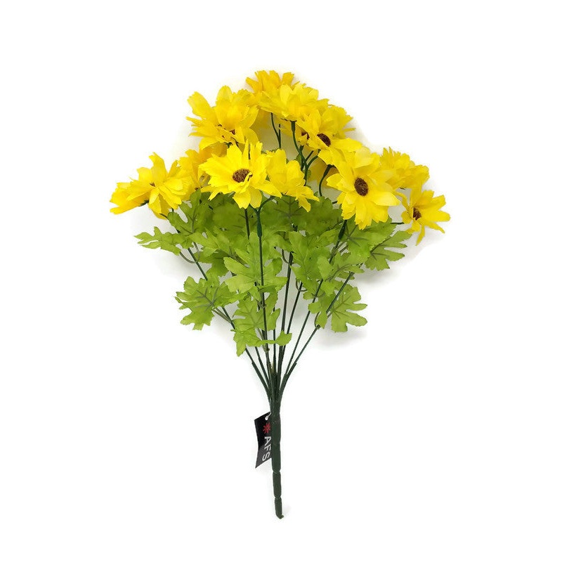 Cosmos Daisy 22 Flower Head Bush – Yellow