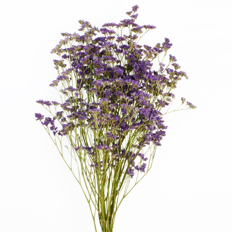 Dried Natural Limonium x 60cm