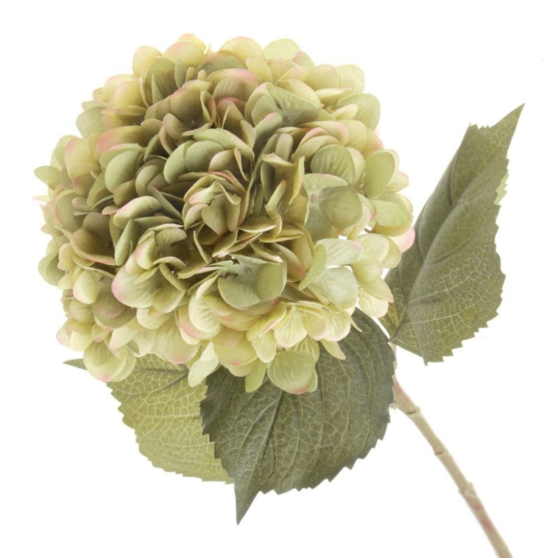 82cm Single Hydrangea – Light Olive