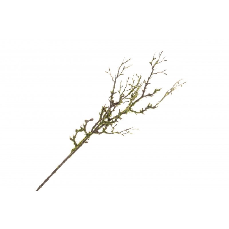 Mossed Willow Spray – Natural (90cm long)