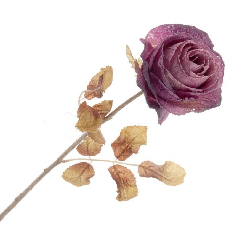 Single Autumn Rose – Purple – 67cm long