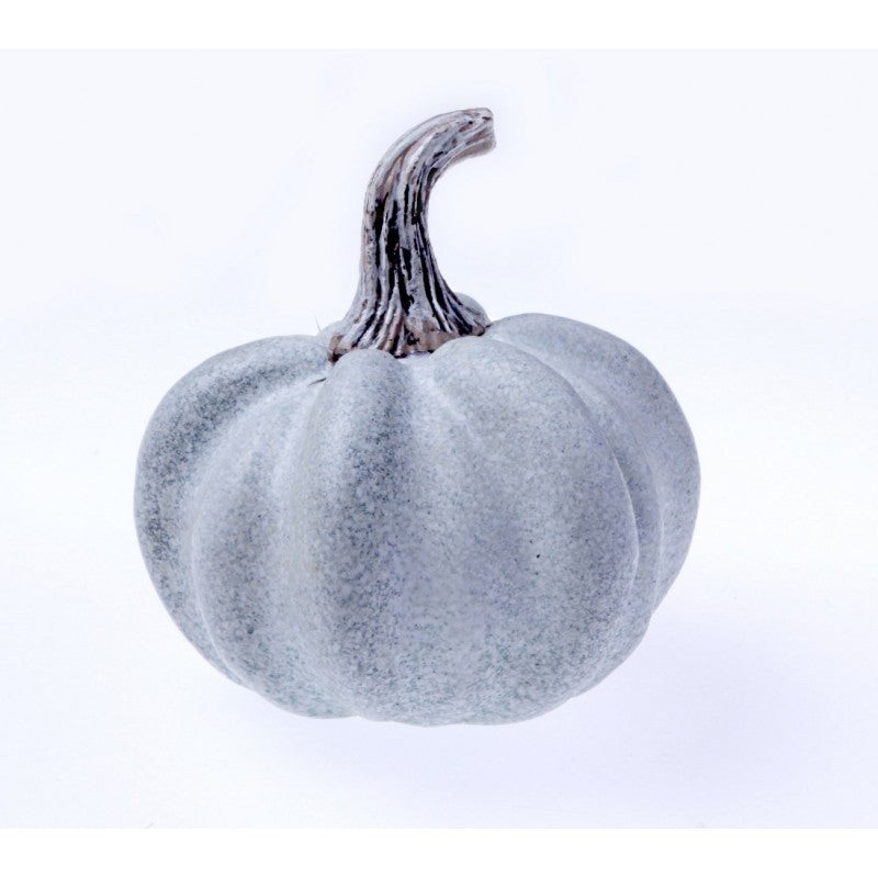 Mini Rumbo Pumpkin – White/Blue – 11cm x 13cm