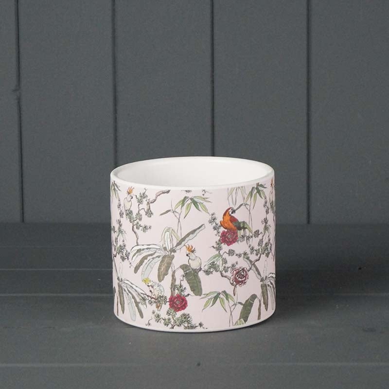 Parrot Ceramic Pot x 12cm