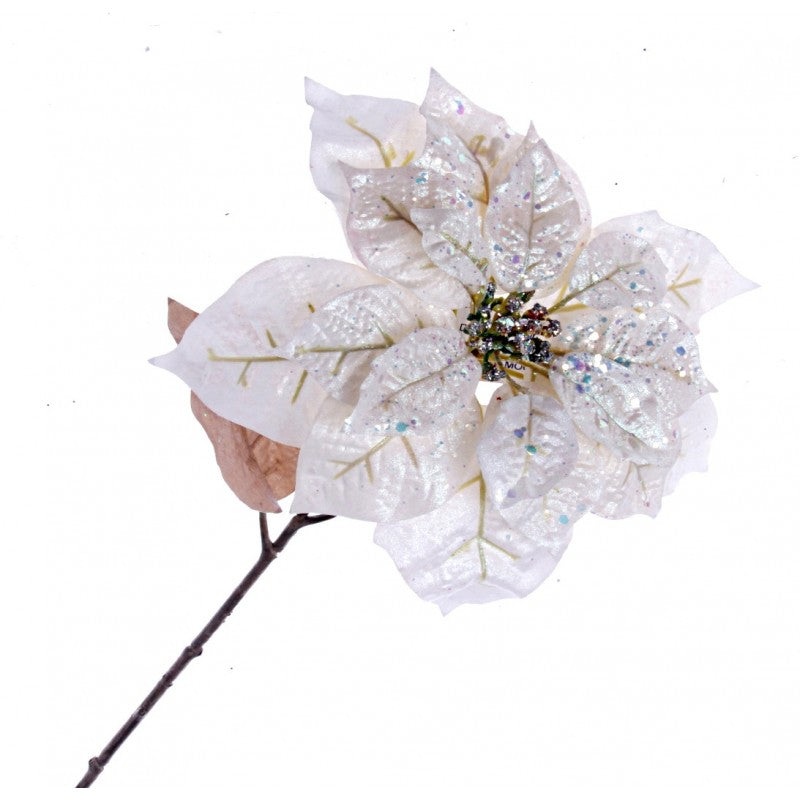 Single Glittered Poinsettia – Cream (25cm diameter, 53cm long)