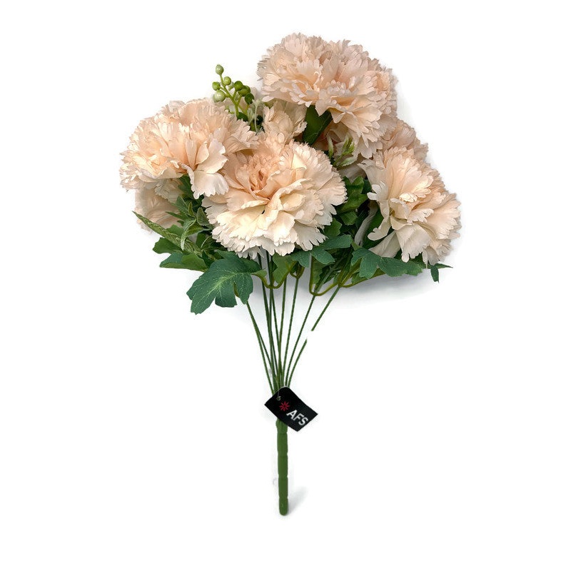 10 Stem Large Carnation & Mixed Foliage Flower Bush – Warm Apricot Pink