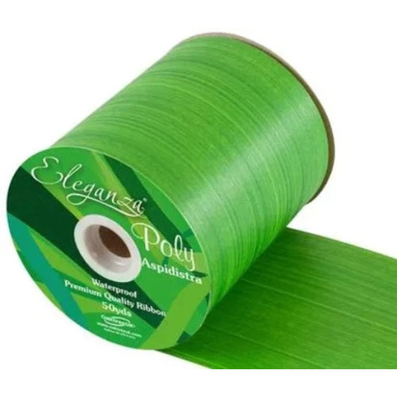 Poly Ribbon Aspidistra 100mm x 50yds Daffodil