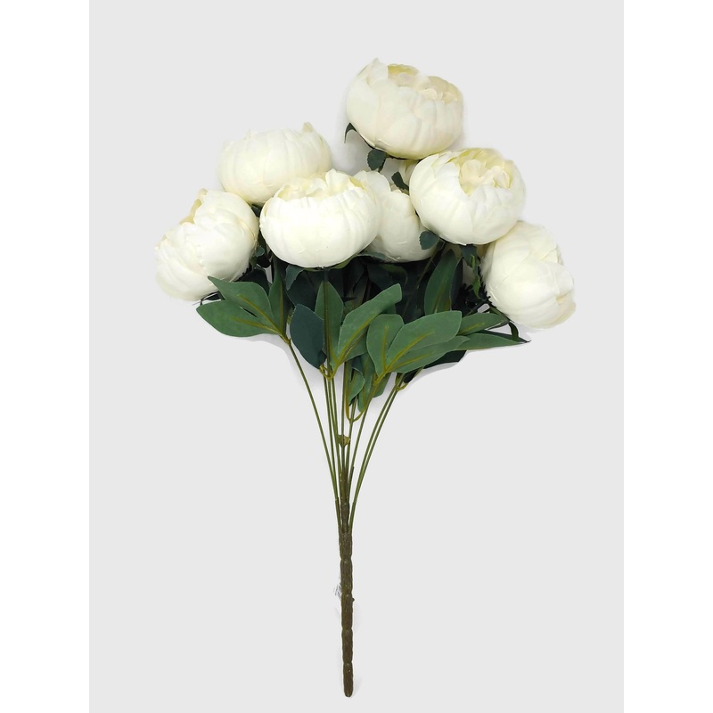 10 Head Ivory Peony Bush x 50cm