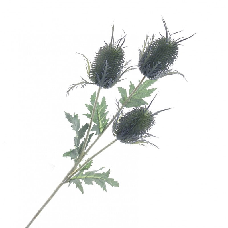 3 Head Eryngium Thistle Spray x 67cm – Green/Blue