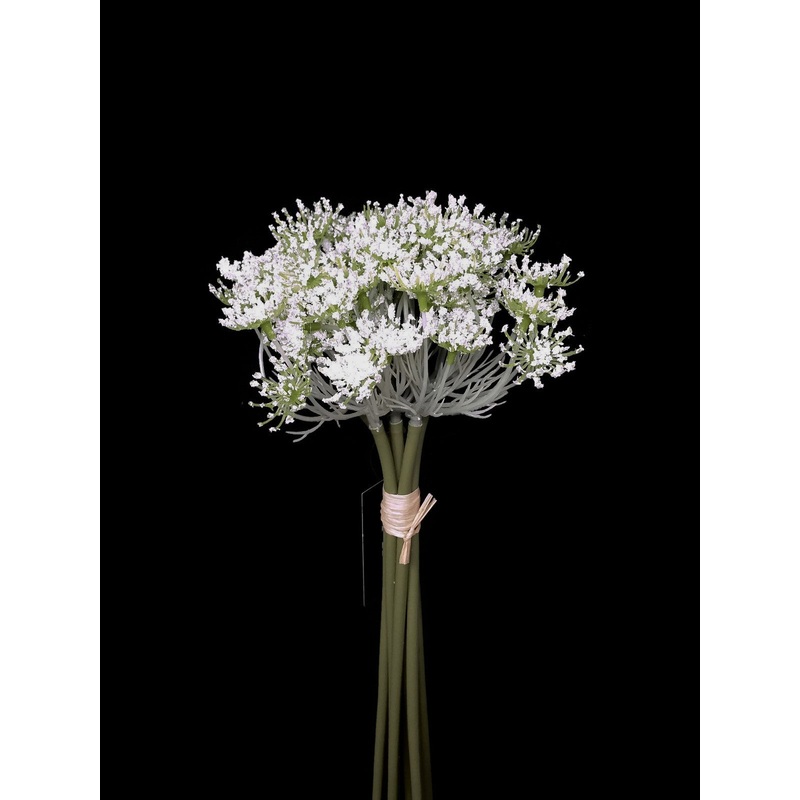 7 Head Queen Anne’s Lace Bunch x 27cm