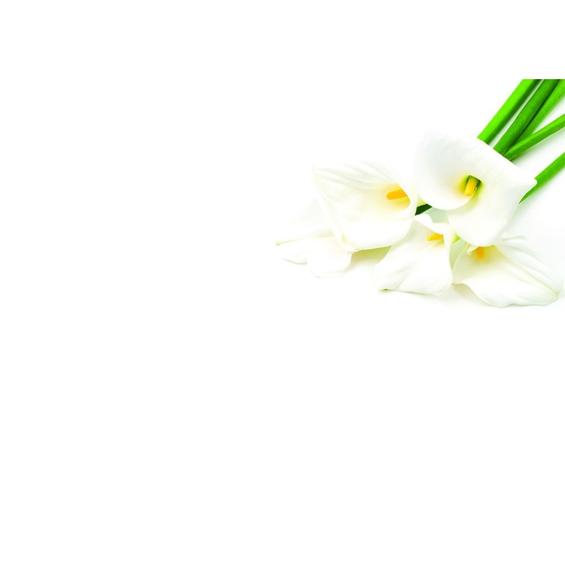 9 Large  Blank Florist Message Cards – 12.5 x 9cm – Calla Lilies
