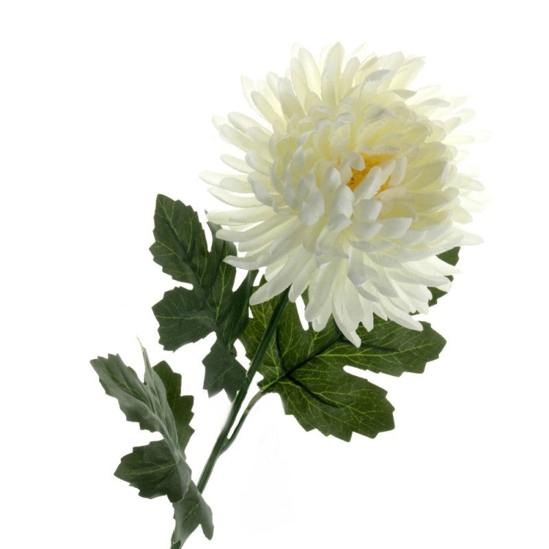 Chrysanthemum Bloom Flower Stem – Length 66cm – Ivory