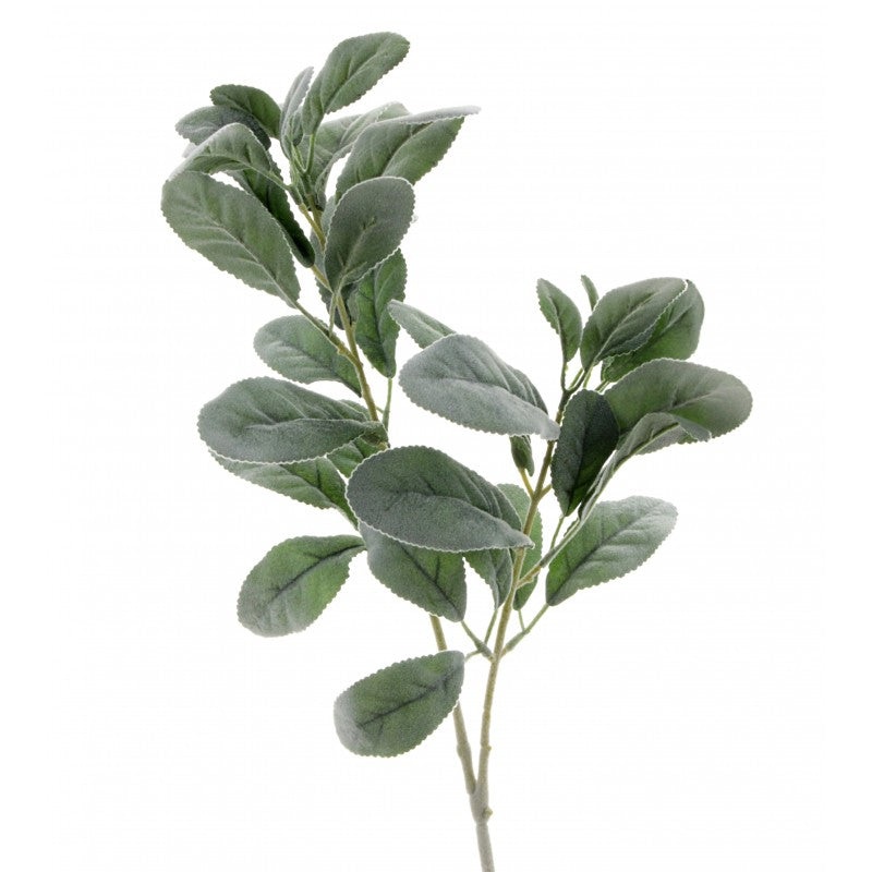 Lambs Ear – Natural (72cm long) LE7204