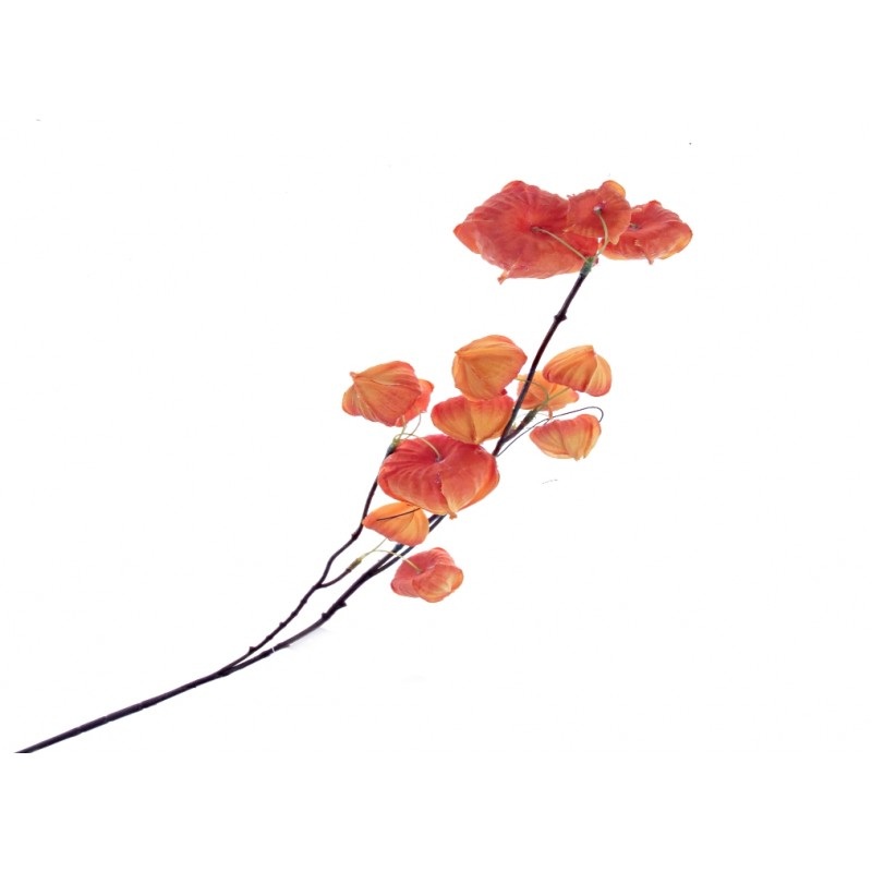 Physalis Stem – Orange – Length 85cm