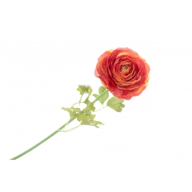 Single Stem Ranunculus Flower – 60cm long – Orange/Red
