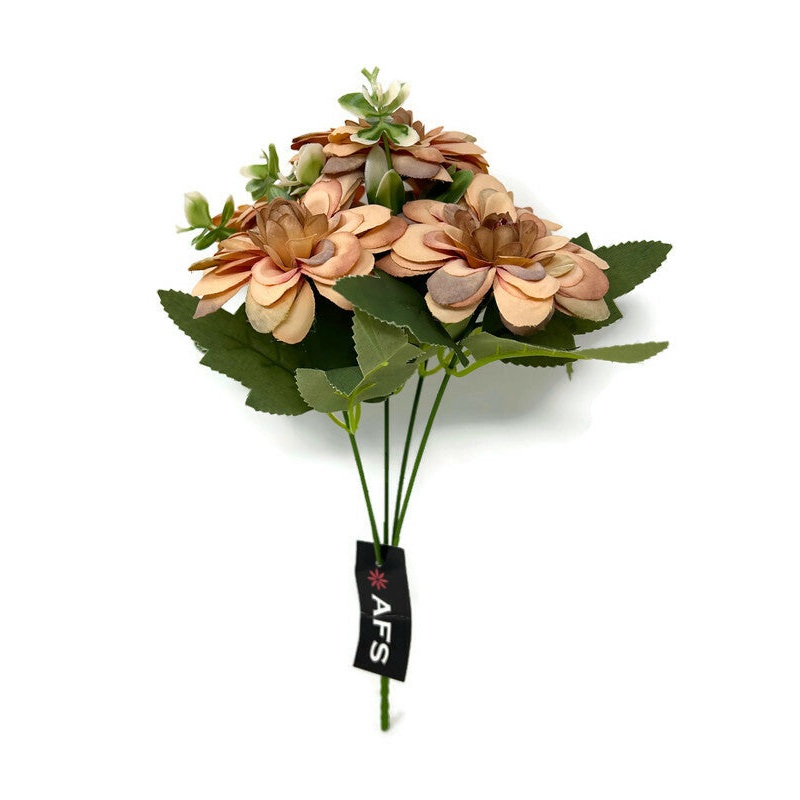 Small Ornamental Dahlia Bush x 28cm – Apricot Mocha