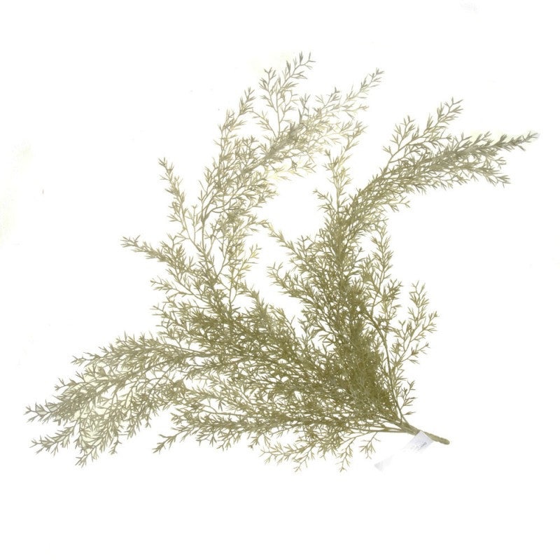 Feathered Fern Bush 78cm Length – Green/White