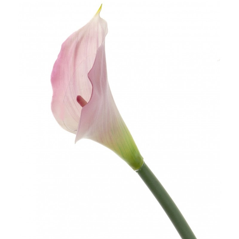 Real Touch Calla Lily x 68cm – Pink/Cream