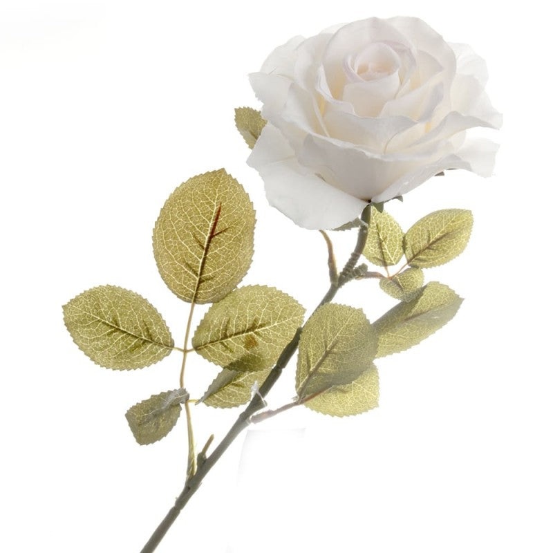 Rose – Cream – 70cm long